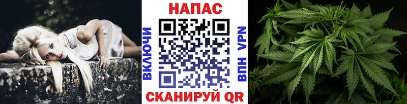 Канабис марихуана Купить Москва